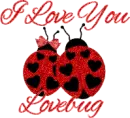 LOVE BUG