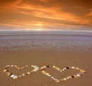 SEA SHELL HEARTS
