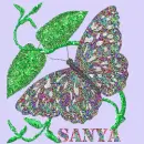 butterfly
