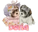 Delia