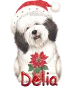 Delia