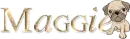 maggie - pug