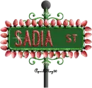 xmas street sign sadia ST