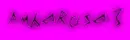 amberose<3
