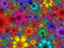 Flower Garden