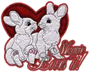 Rabbits - Maggie