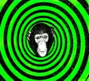 Spinning Monkey