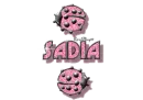 pink traveling ladybugs sadia
