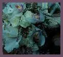 Beautiful Wedding Flowers