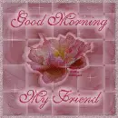 Good Morning My Friend