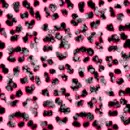 cheettaaa