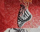 Red Dragon, White Butterfly