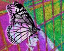 Candy Fruit Green Butterfly