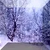Snowing Button 1