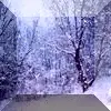 Snowing Button 2