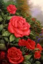 Red Roses