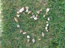 Kate's Stones
