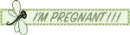 Im Pregnant