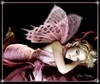 mauve fairy