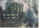 ghost horse