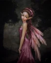 pink fairy