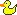 ducky
