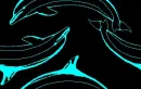 dolphin background
