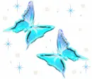 blue butterflies