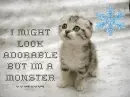 cute kitten