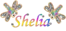 Dragon Fly Shelia