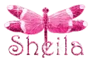 hot pink dragonfly sheila