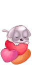 cute