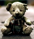 bear