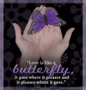 butterlfly love