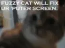 fuzzy cat