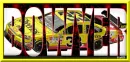 clint bowyer