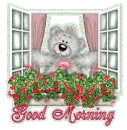 Good Morning~Creddy