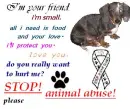 stop animal abuse