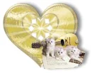 Heart 1