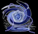 Blue Rose