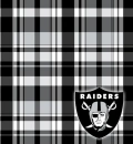 RAIDERS 2
