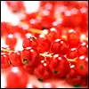red berries