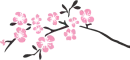 cherry tree divider