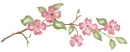 dogwood divider