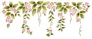 floral vines