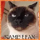 siamese fan