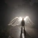 wings