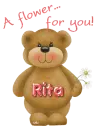 Flower for you- Rita