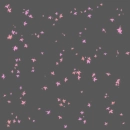Pink Leaves