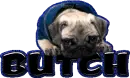 Butch